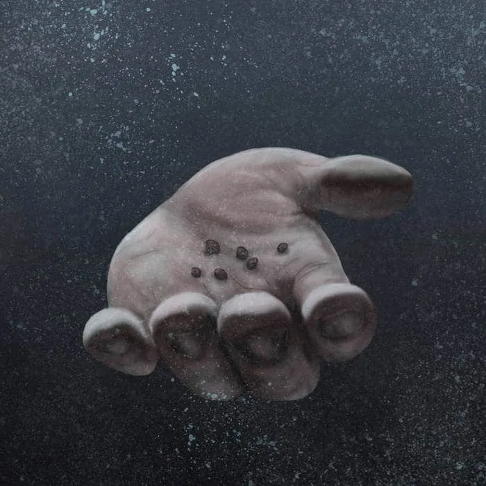 The Seeds, Vol II cover