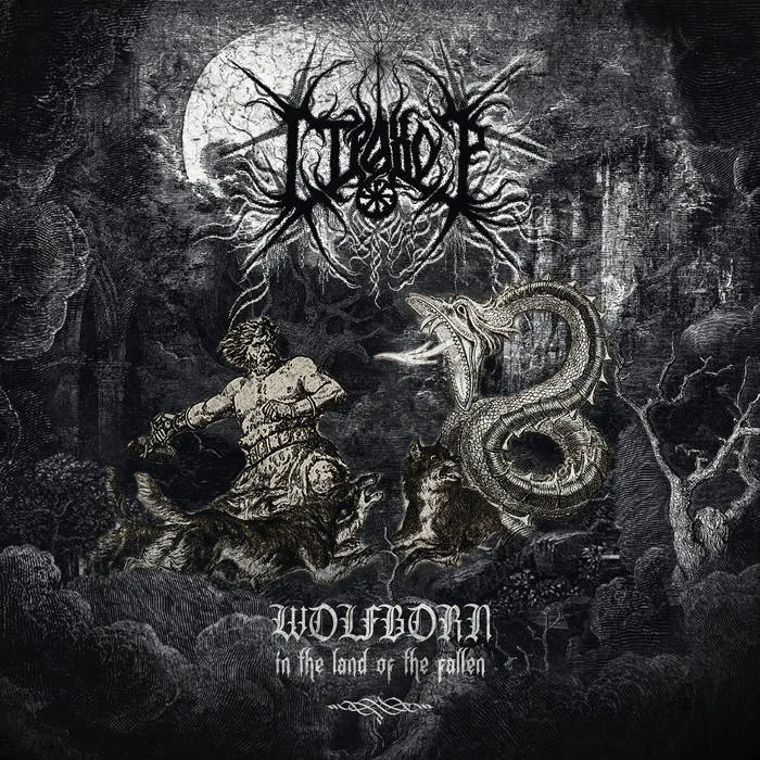 Wolfborn: In the Land of the Fallen cover