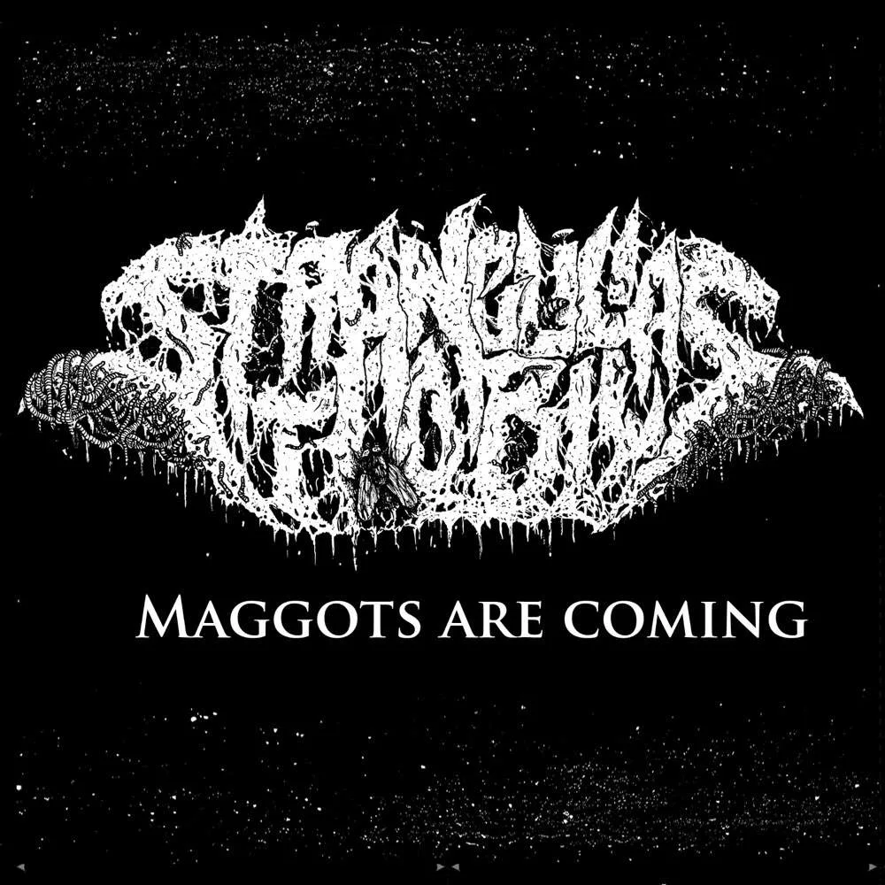 Maggots Are Coming cover
