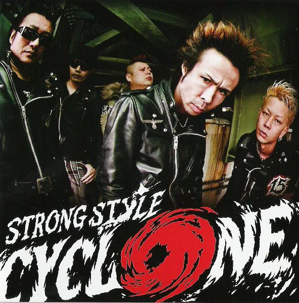 Cyclone cover