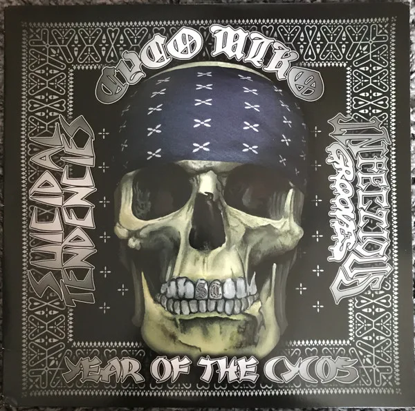 Year of the Cycos cover