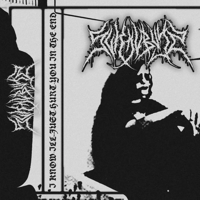 I Know I'll Just Hurt You in the End cover