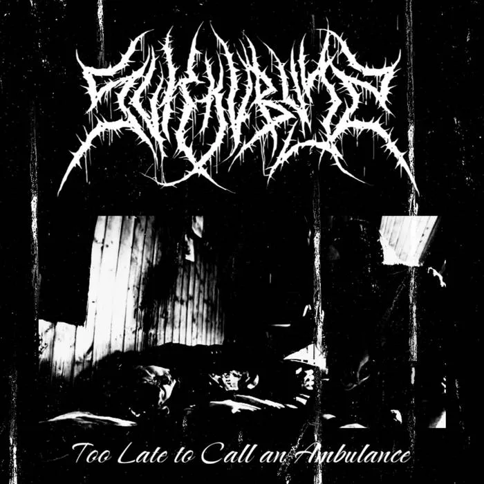 Too Late to Call an Ambulance cover