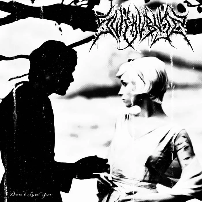 I Don't Love You cover