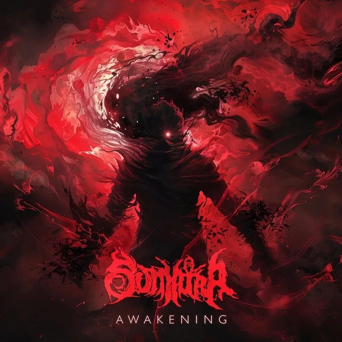 Awakening cover