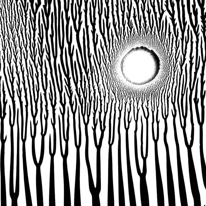 The Grimmrobe Demos // extended cover