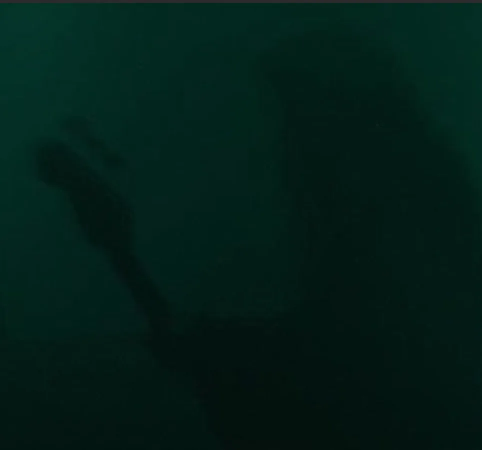 2006.03.03, Paradiso, Amsterdam, The Netherlands cover