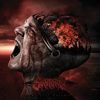 Symbiotic Polarity cover