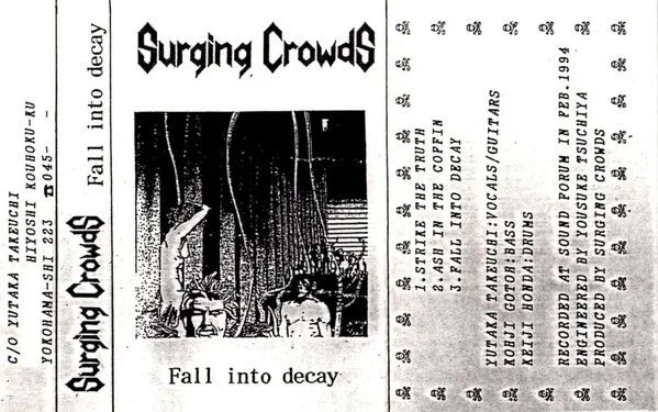 Fall into Decay cover