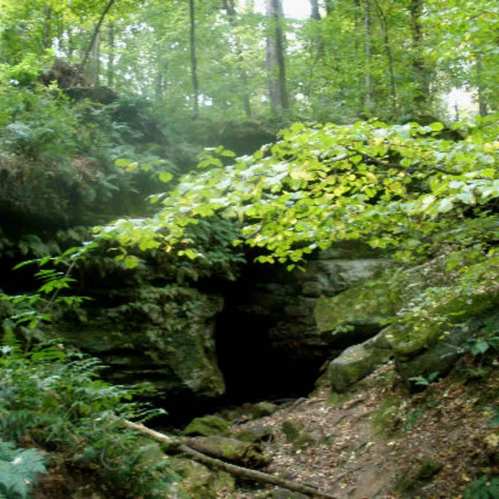 Rotten Entrance to the Ancient Elders' Kingdom cover