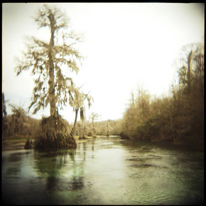 Ominous Stench Ridden Swamps of the South cover