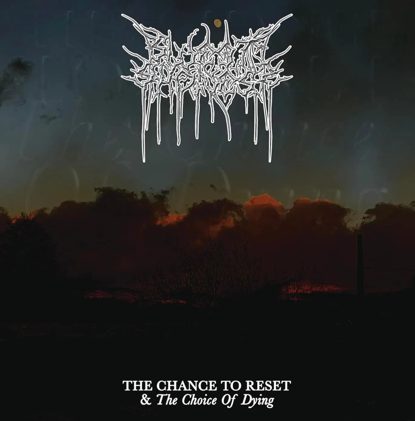 The Chance to Reset & the Choice of Dying cover