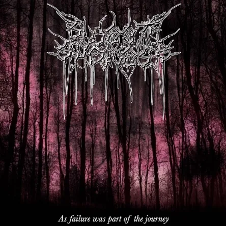 As Failure Was Part Of The Journey cover