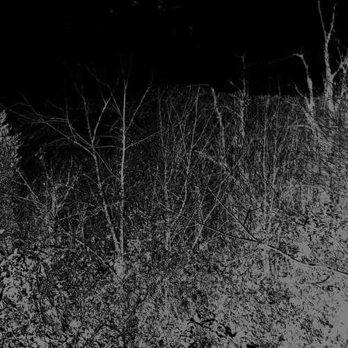 Saturn Form Essence / Swine Soul cover