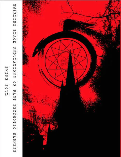 Swirling Black Undulations of Past Psychotic Madness cover