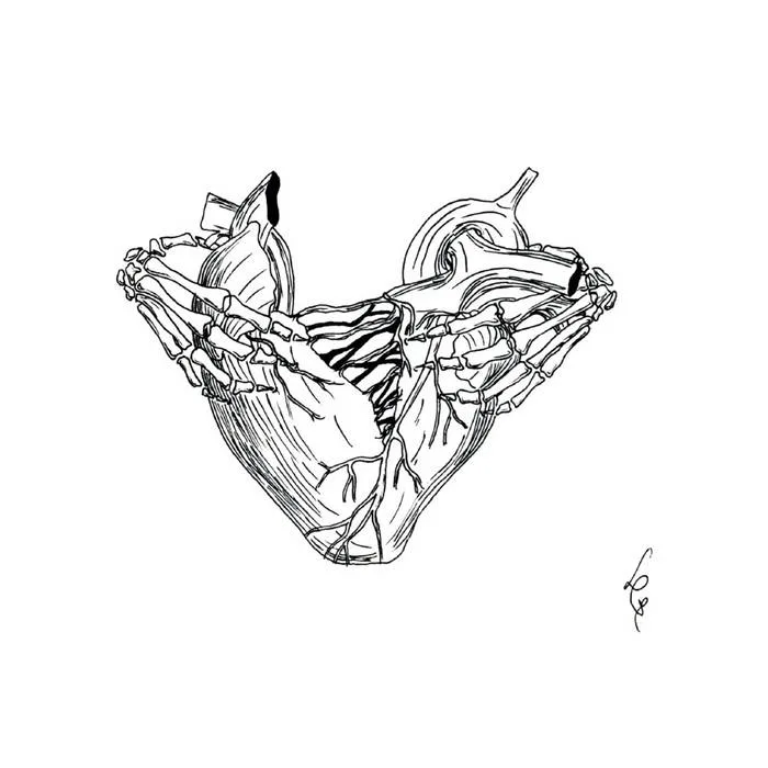 Torn cover