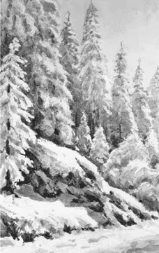 Cryptic Winter cover