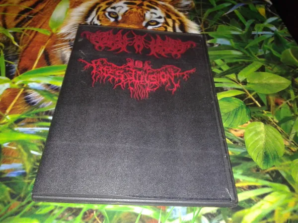 T.O.R.N.A.P.A.R.T. / Life's Illusion cover