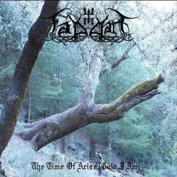 The Time of Arise (Cold I Am) cover