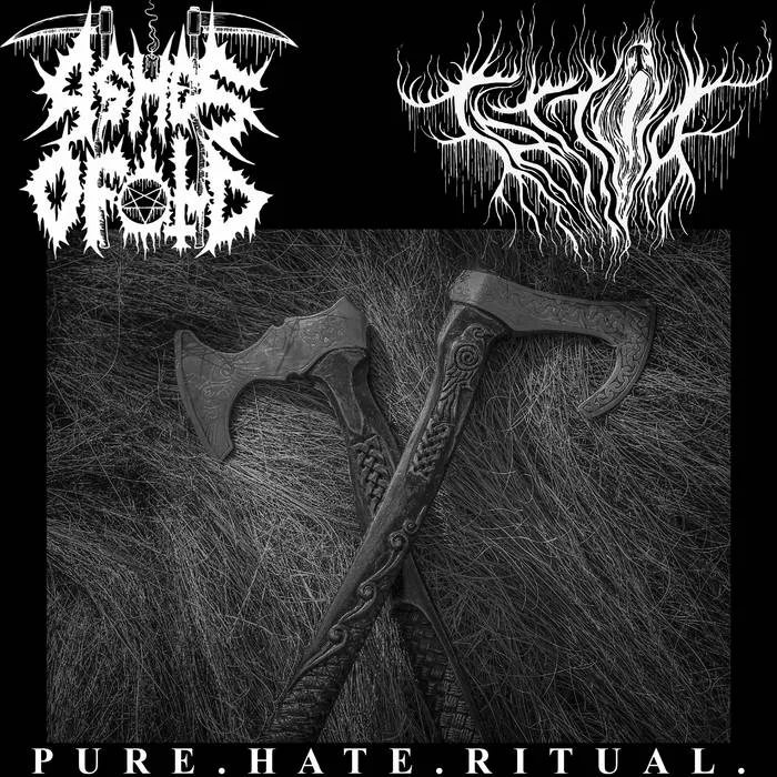 Pure.Hate.Ritual. cover