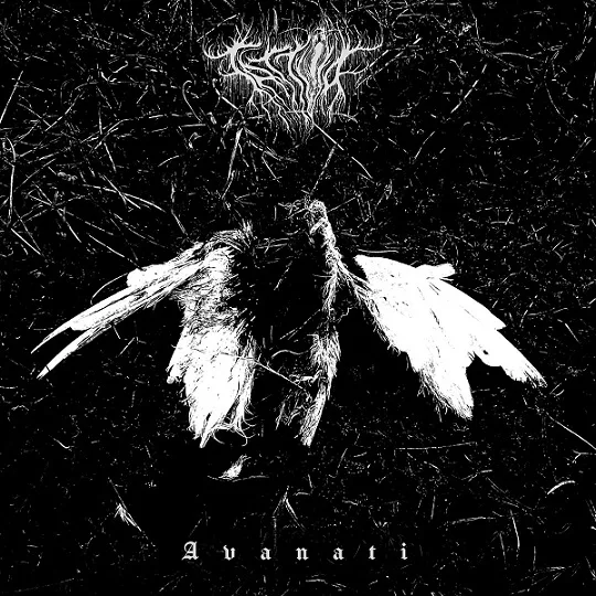 Avanati cover