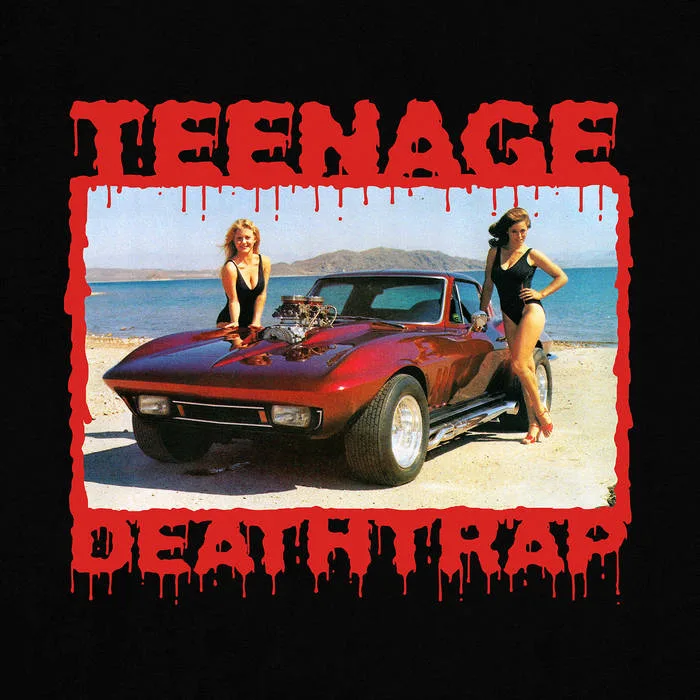 Teenage Deathtrap cover