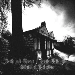 Godstained Perfection cover