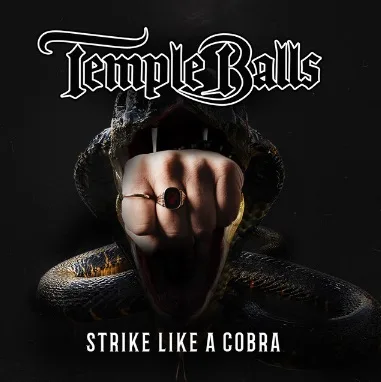 Strike Like a Cobra cover