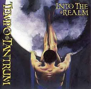 Into the Realm cover