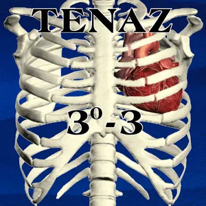 3ro Tres cover
