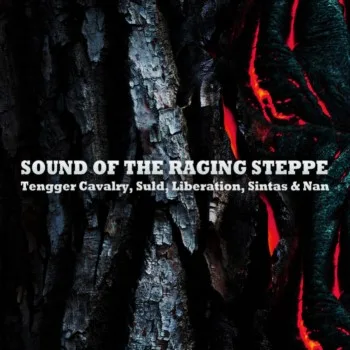 Sound of the Raging Steppe cover