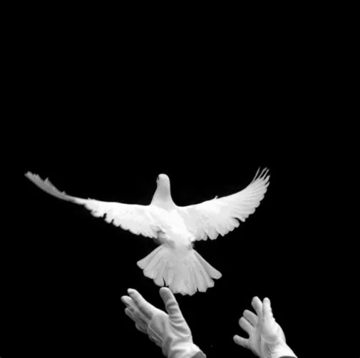 Standing Ovation cover