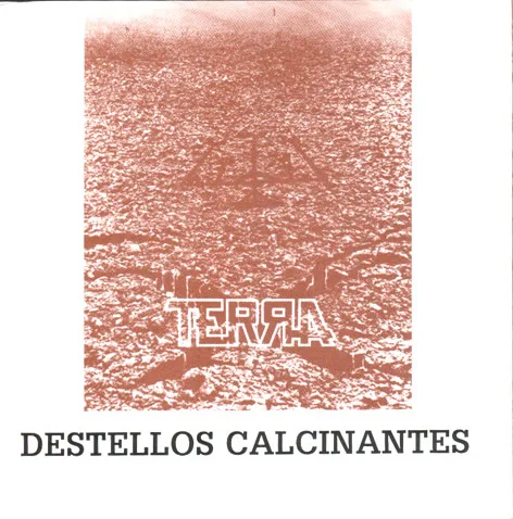 Destellos calcinantes cover