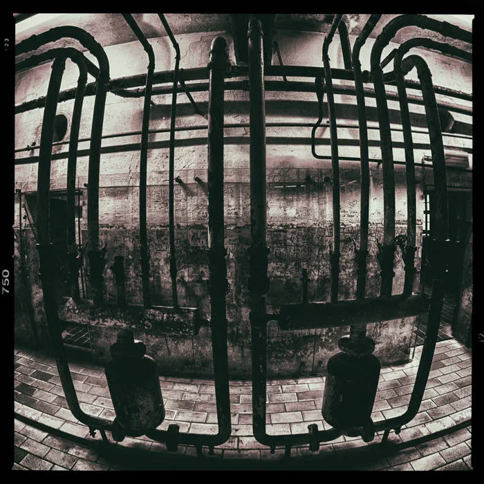 Cellar of Love cover