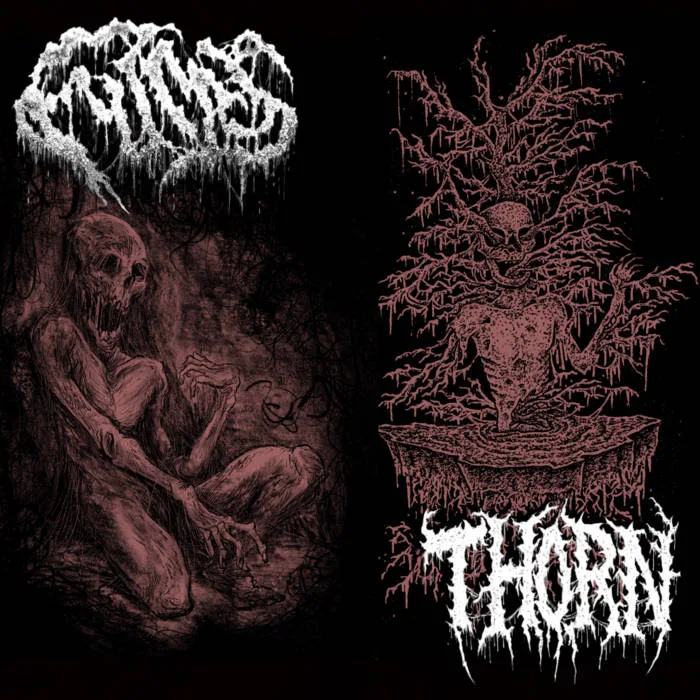 Fumes / Thorn cover