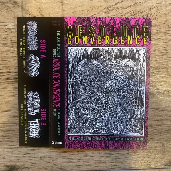 Absolute Convergence cover