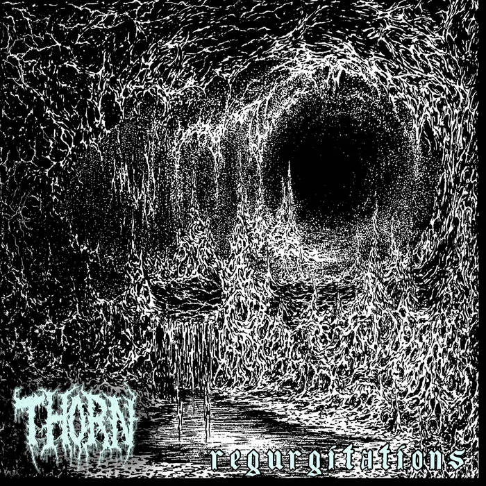 regurgitations cover