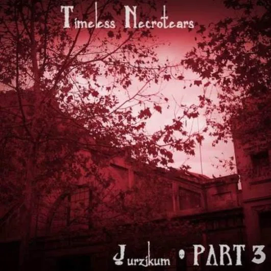 Jurzikum Part 3 cover