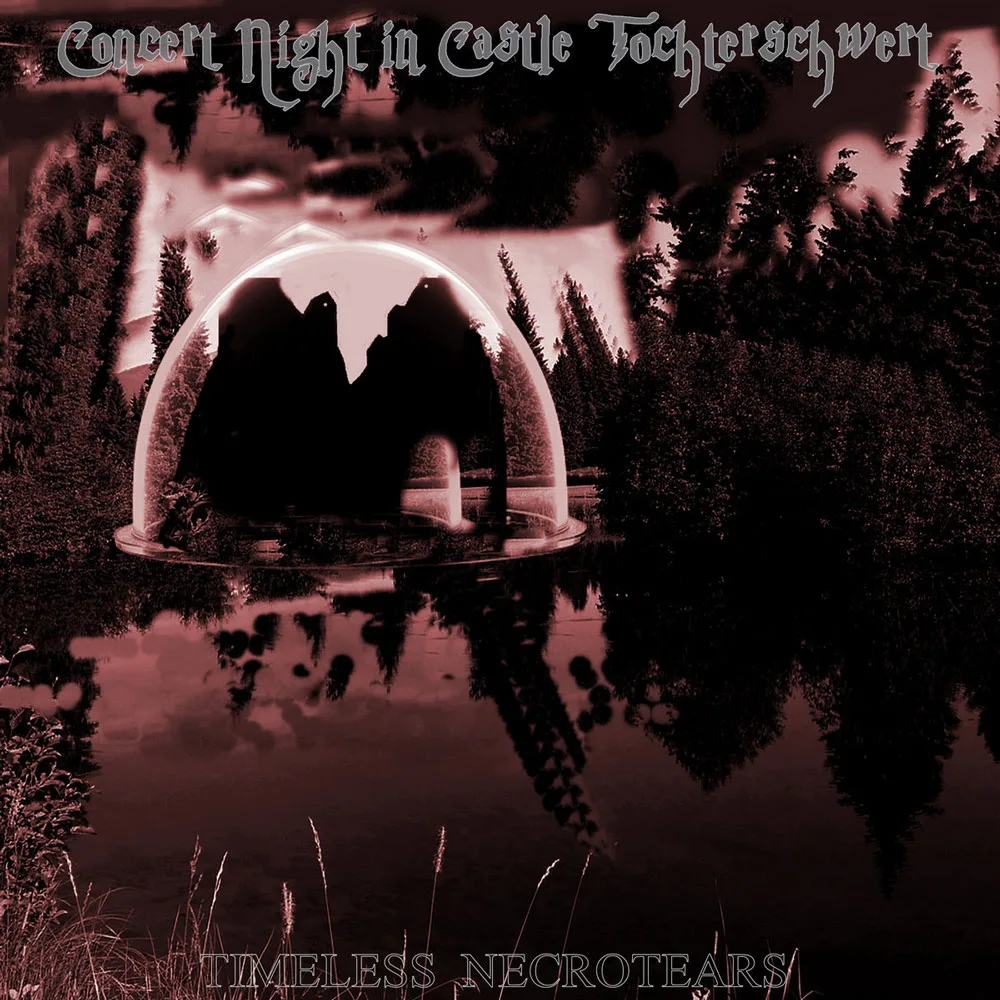 Concert Night in Castle Tochterschwert cover