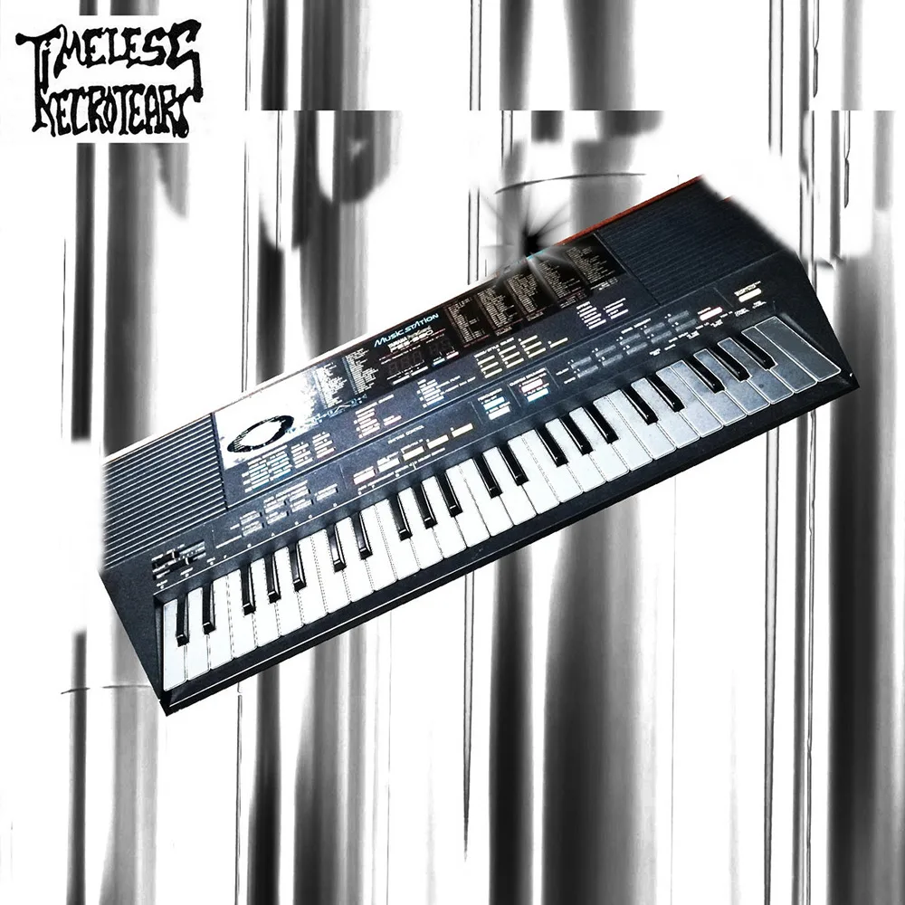 Amaha Pss580 (Metallic World of Winged Humans) cover