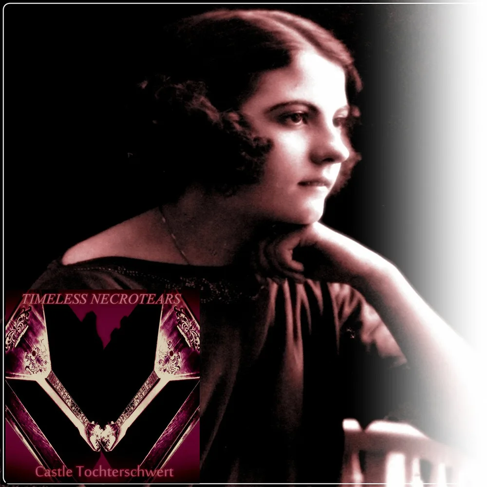 The Last Historical Archive 2 cover