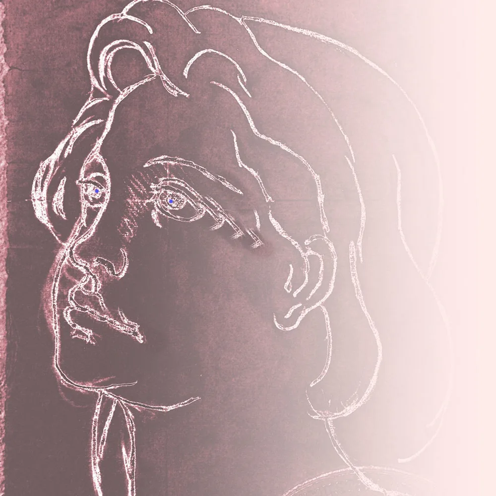 Shedroid Fever cover