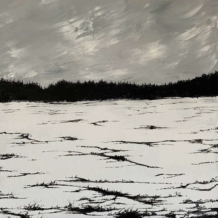 Echoes on a Windswept Plain cover