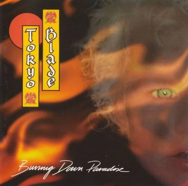 Burning Down Paradise cover