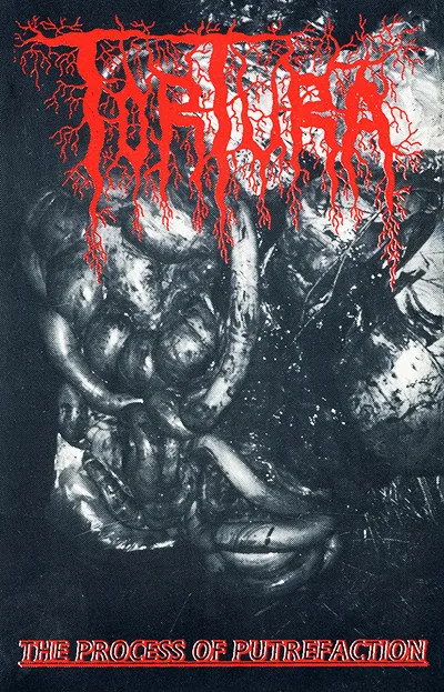 The Process of Putrefaction cover