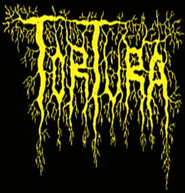 When the Pestilence Came Ashore cover