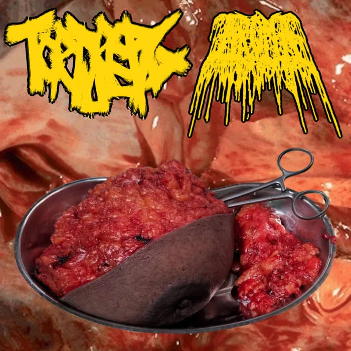 Torture Pig / Aroma cover