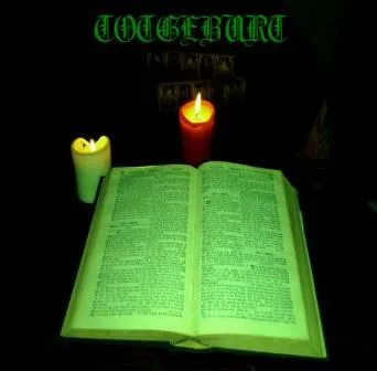 Das Ritual beginnt cover