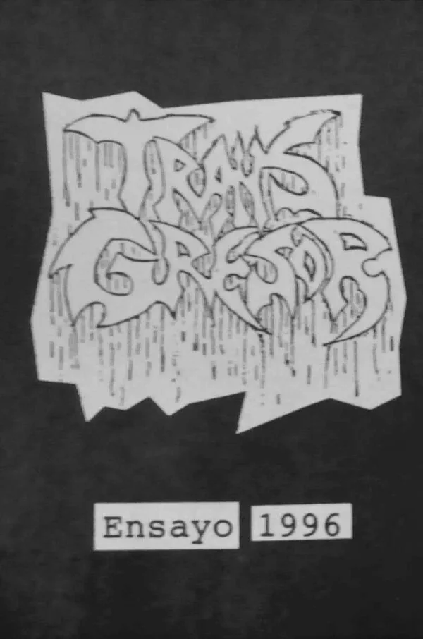 Ensayo 1996 cover