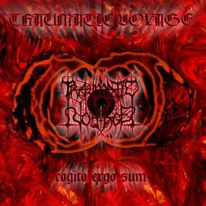 Cogito Ergo Sum cover